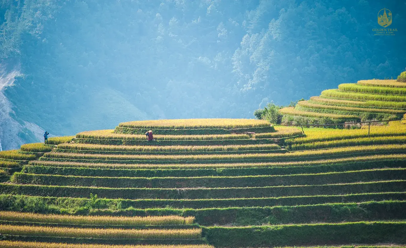 Northern Vietnam Colors to Central Heritage: 15-Day Trekking, Culture & Scenic Adventure